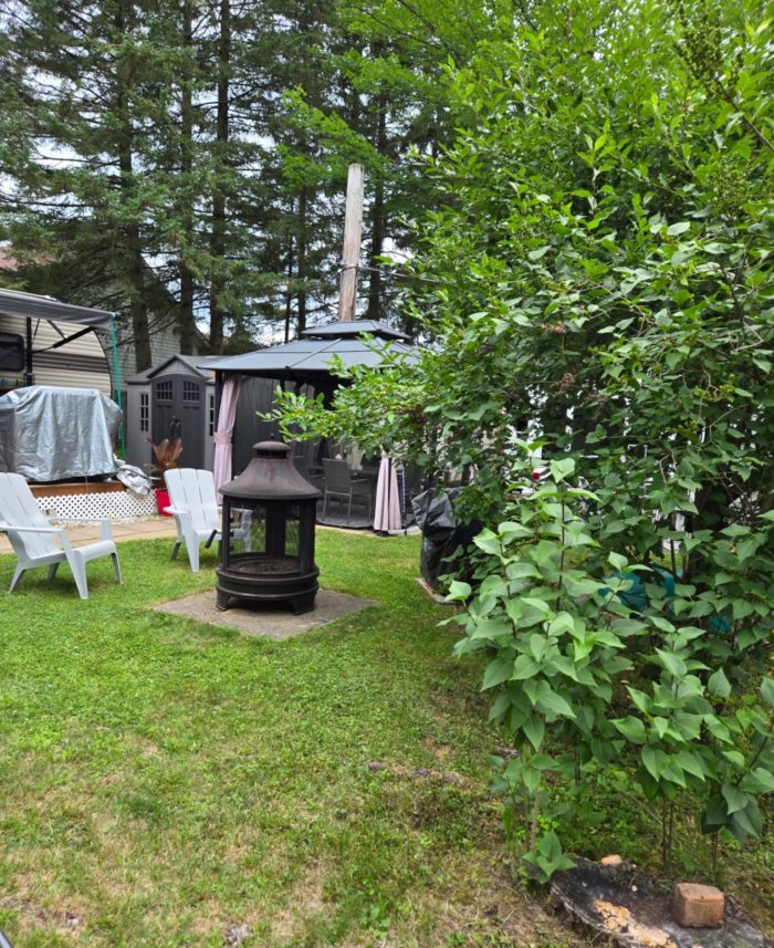 ROULOTTE FOREST RIVER WILDWOOD 27RES 2019 30 PIEDS avec ou sans set up – Image 3